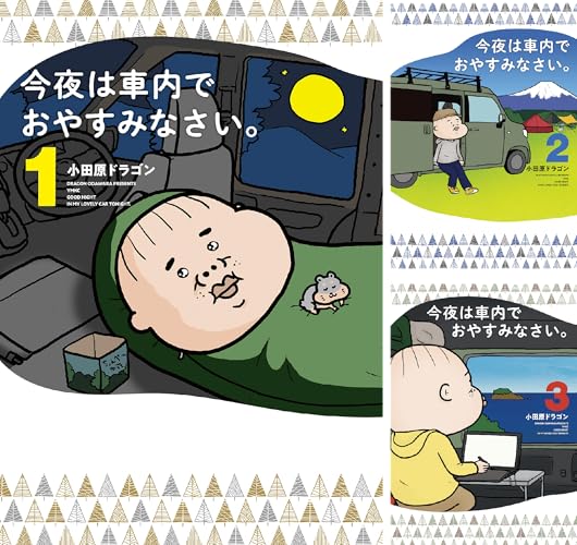 今夜は車内でおやすみなさい。