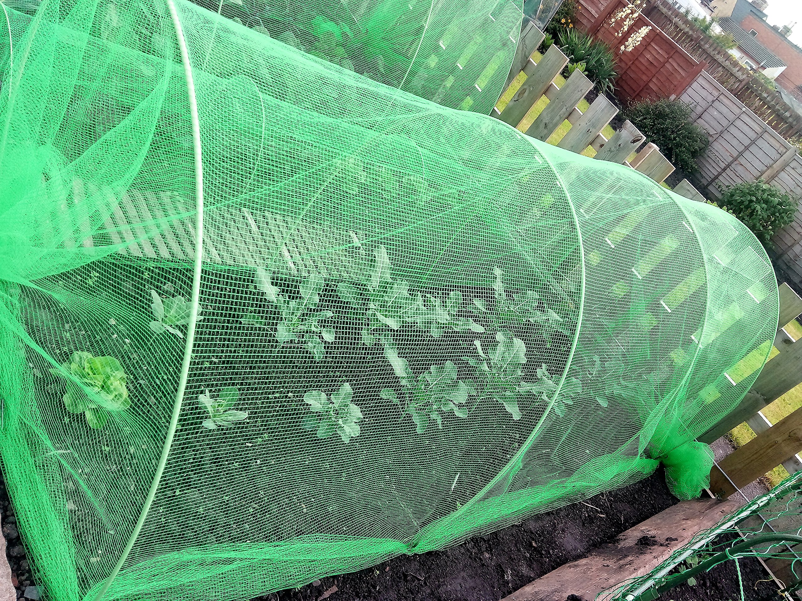 easynetsFlexible XL Garden Cloche (2m, Green)