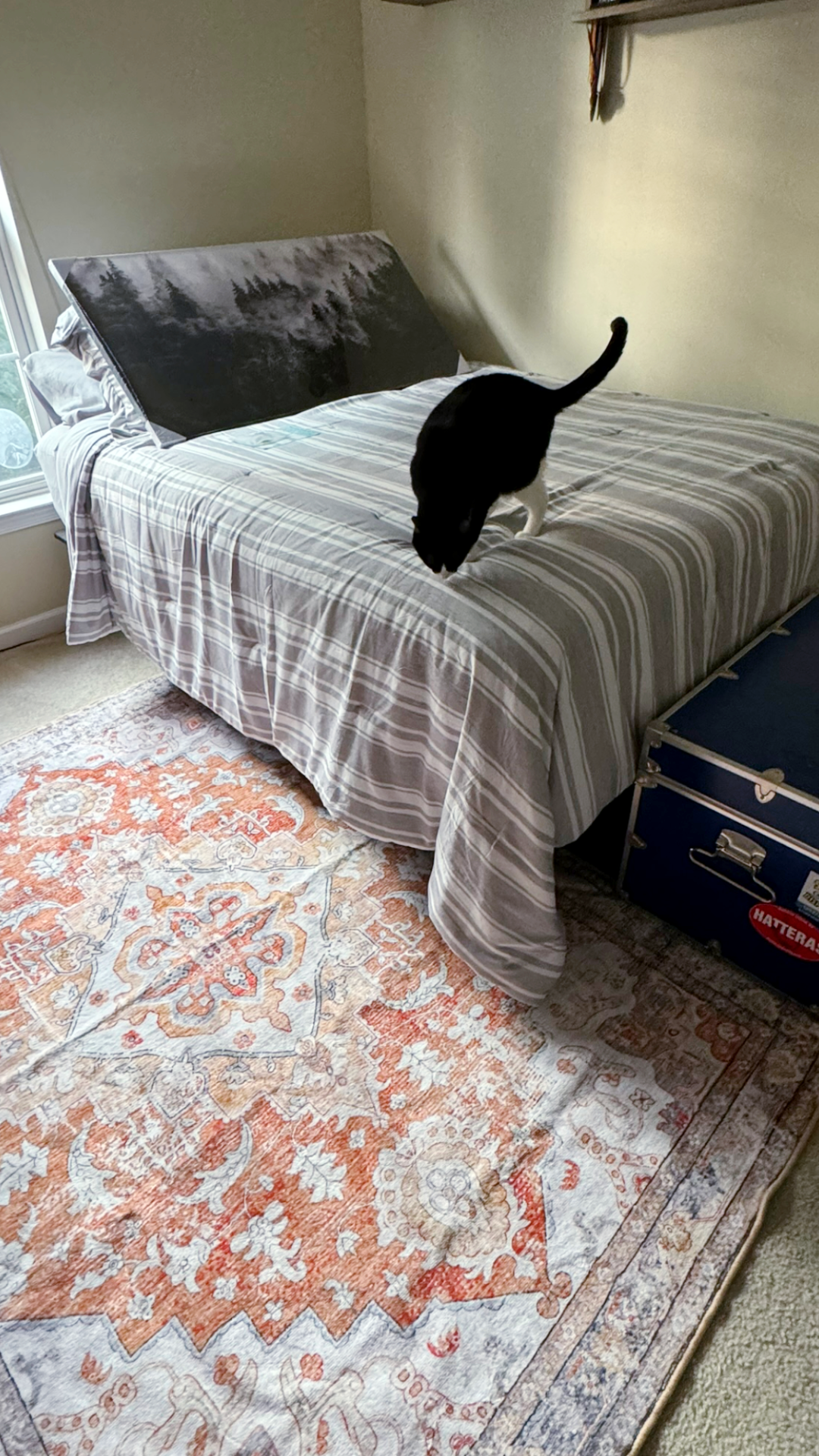 Everything You Should Know About This Boho Vibe Area Rug