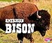 American Bison (North American Animals)