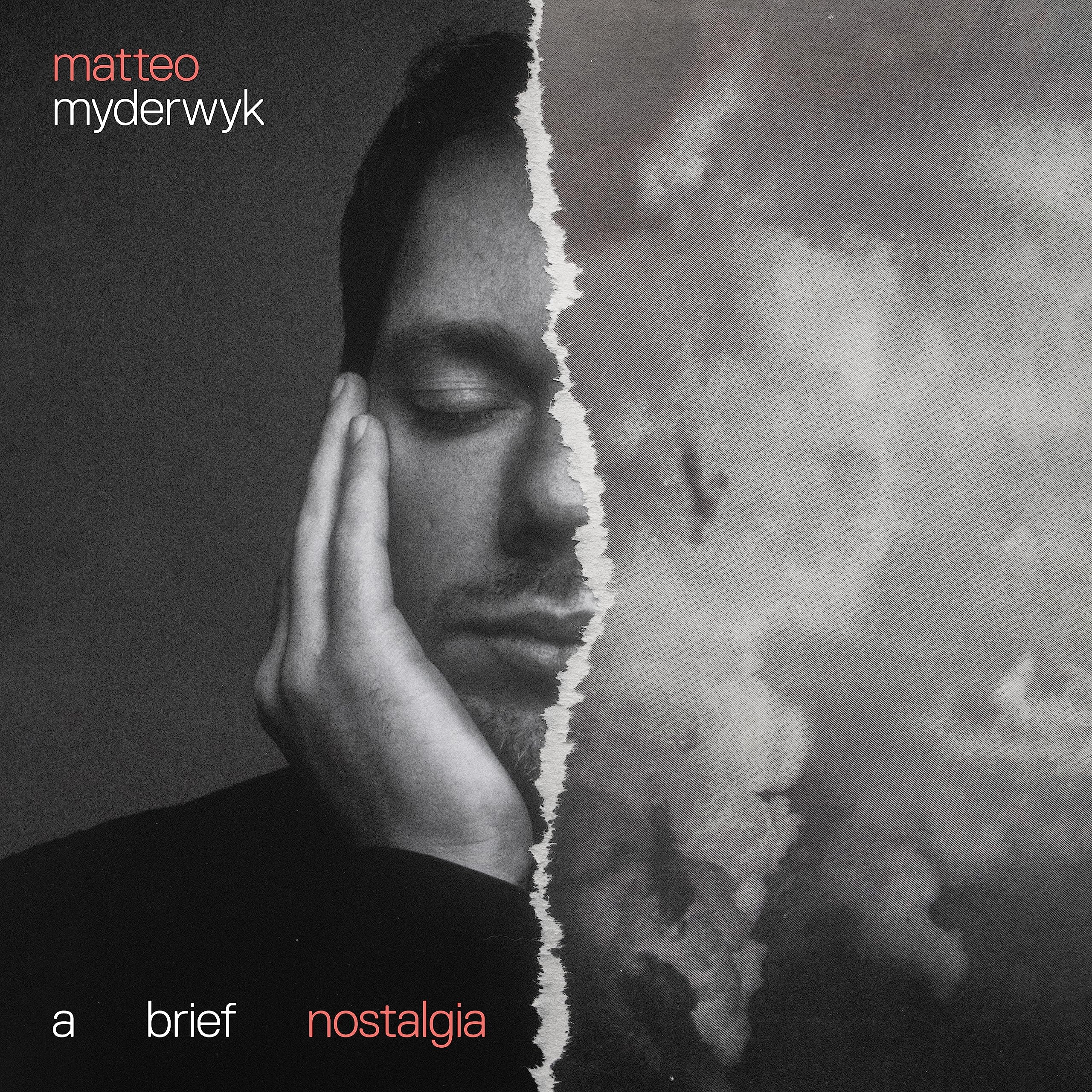 A brief nostalgia [VINYL]