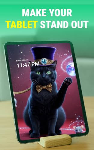 Cute Cat Wallpaper for TV - Kitten Backgrounds HD 4K, Live Cat Wallpapers, Orange Cat Photos, Cat Love Scenes, Battle Cats Art, Cat in the Hat Themes, Cool 3D Wallpapers, Preppy Screensavers – vue 7