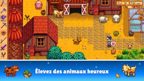Stardew Valley – vue 7