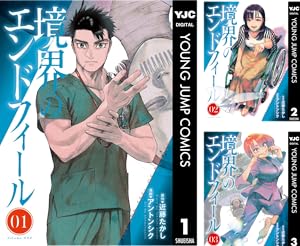 境界のエンドフィール