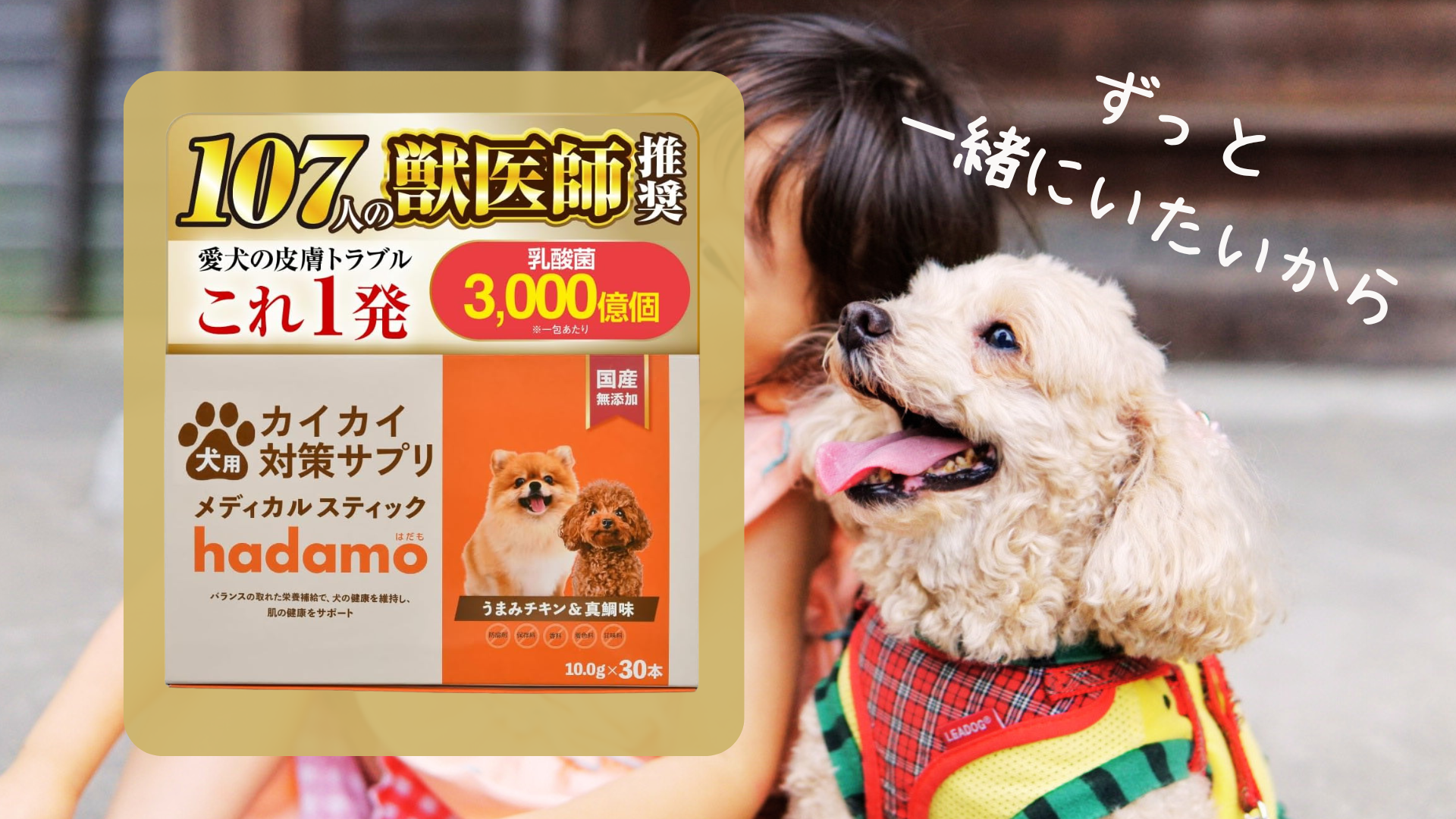Amazon | 【獣医師監修】 犬 皮膚 かゆみ サプリ 【 乳酸菌H61配合 無