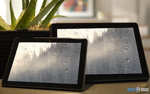 floresta nublada e chuvosa grátis HD - sinta a vista chuvosa romântica na sua TV HDR 4K, TV 8K e dis