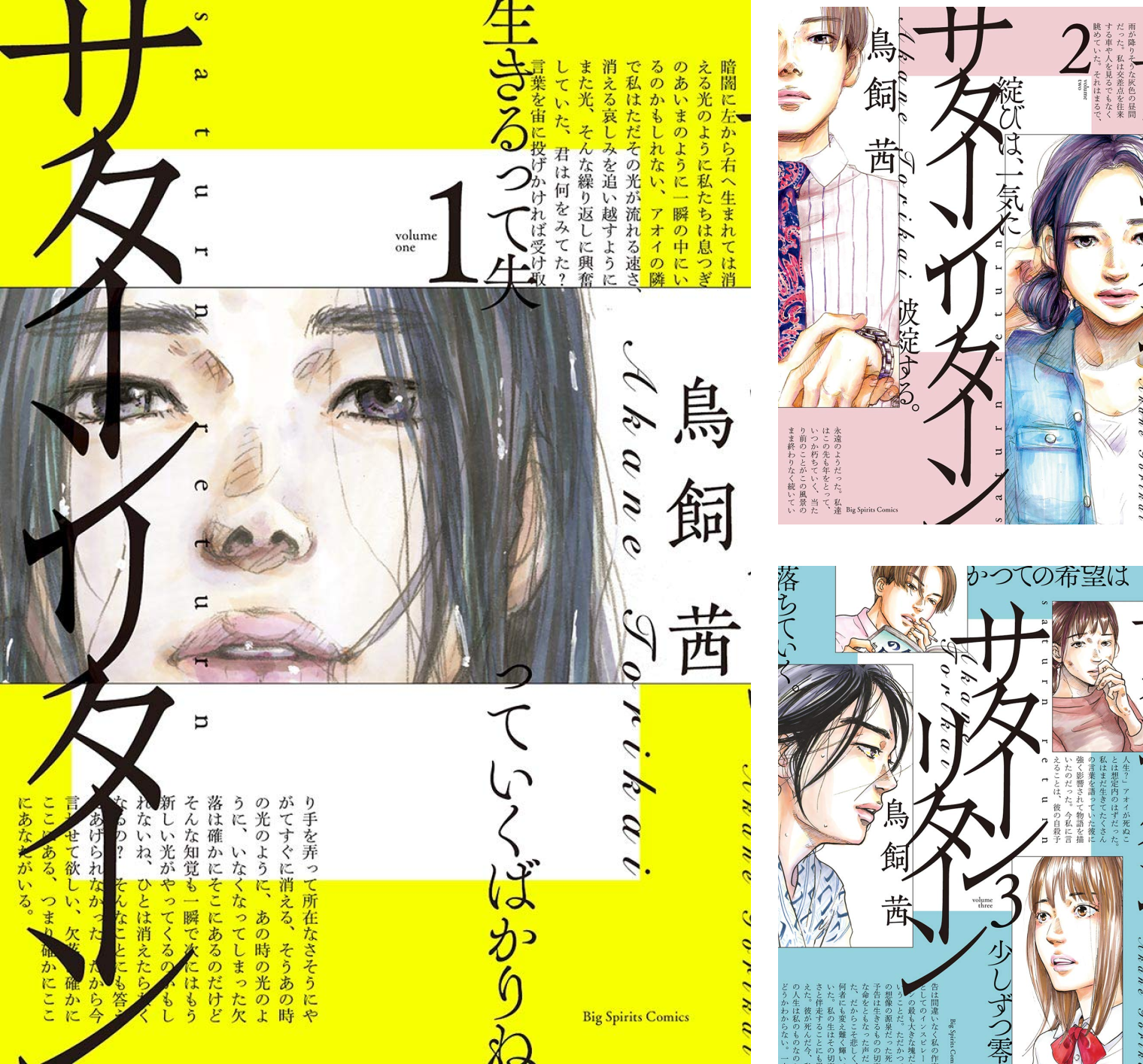 サターンリターン (全2巻) Kindle版