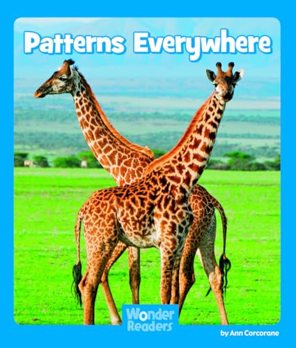 Patterns Everywhere (Wonder Readers Emergent Level)