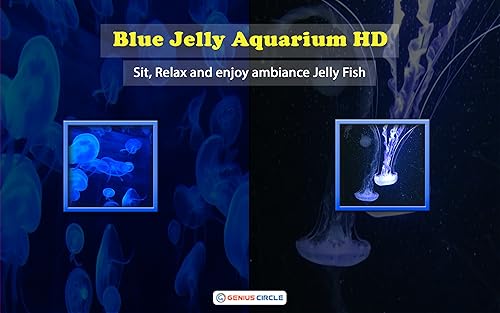 Blue Jelly Aquarium HD grátis - aproveite as belas medusas em sua TV HDR 4K, TV 8K e dispositivos de