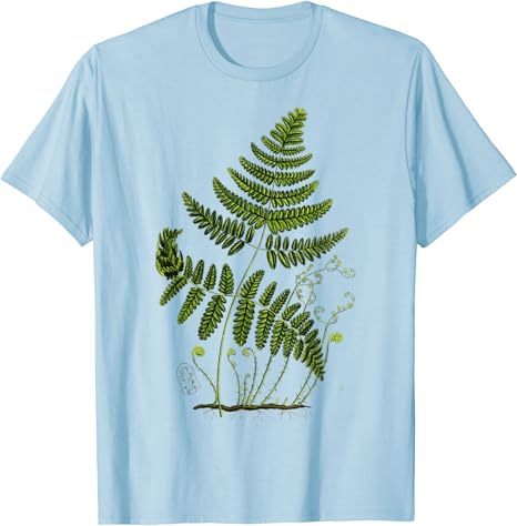 Amazon シダ植物植物 ボタニー ニュージーランドシダ Tシャツ Tシャツ カットソー 通販 Amazon シダ植物植物 ボタニー ニュージーランドシダ Tシャツ Tシャツ カットソー 通販
