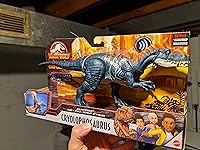 Review Image by Matthew Hobson Matthew Hobson