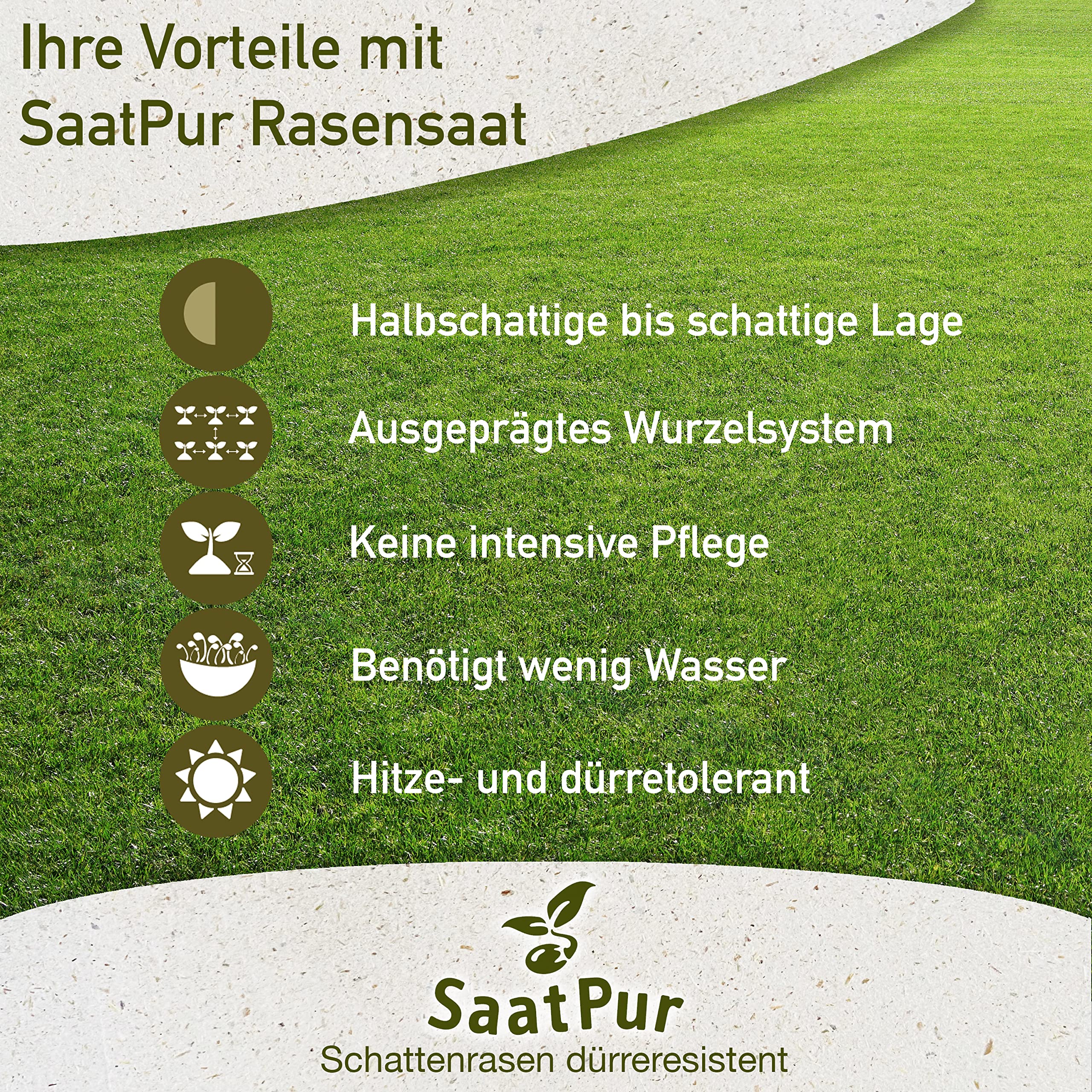 SaatPur® Rasensamen Schattenrasen Dürreresistent 5kg für ca. 150 m², Mehrjährige Rasemischung aus mehreren Rasenarten, meistens 4 bis 5, satt grün, schnellkeimend, hitzetolerant, Neusaat und Nachsaat