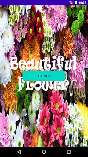 Beautiful Flower