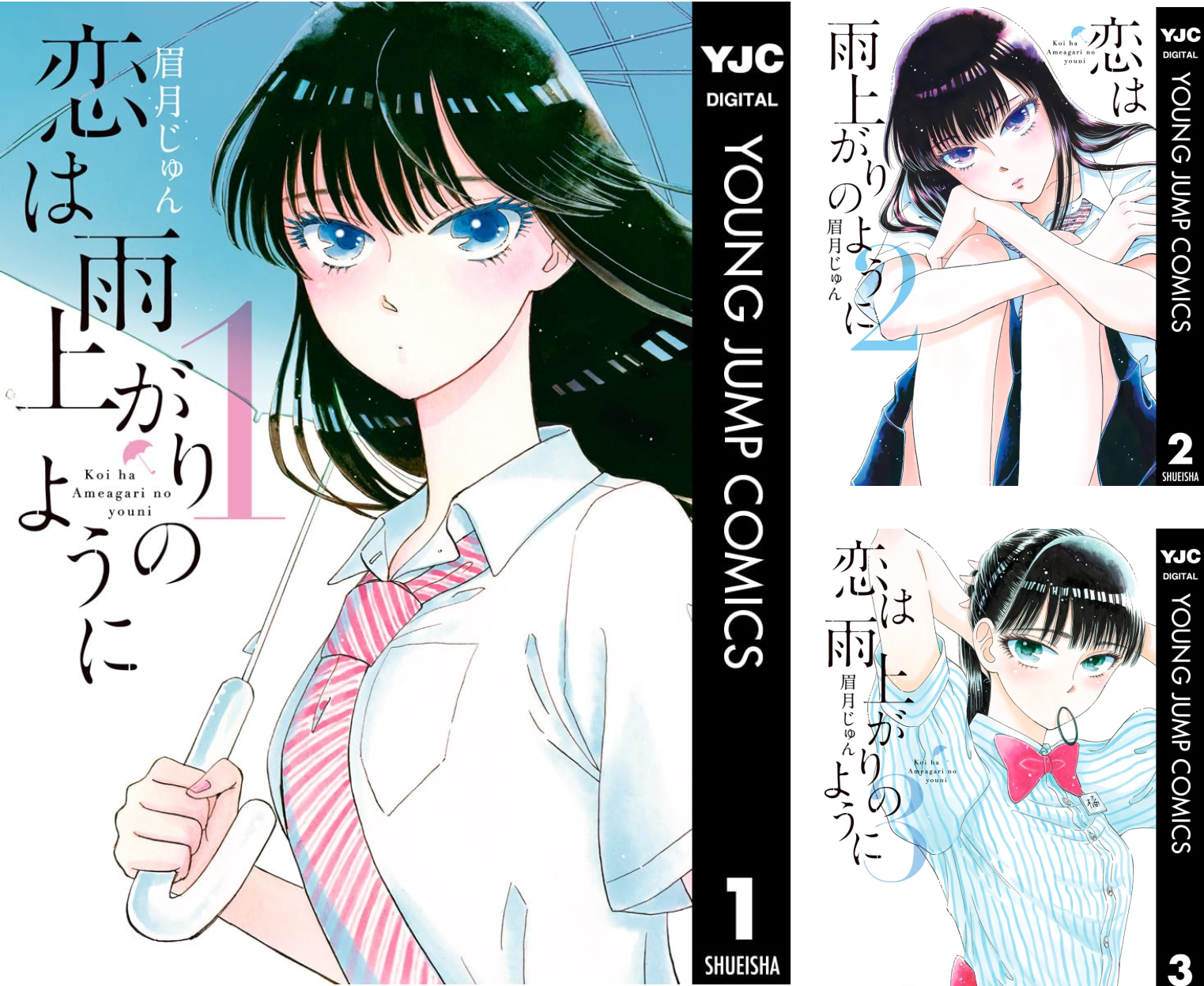 恋は雨上がりのように (全10巻) Kindle版