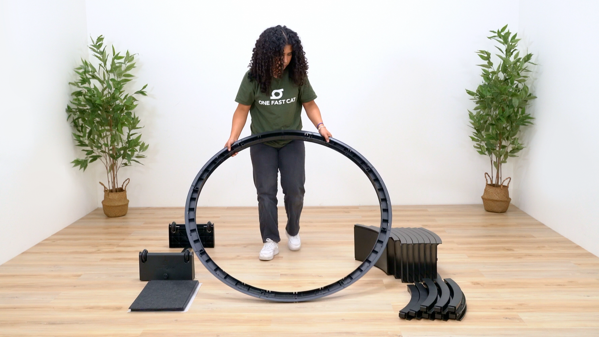 Amazon.com : One Fast Cat - Cat Exercise Wheel - Gen. 7 - Safe 48