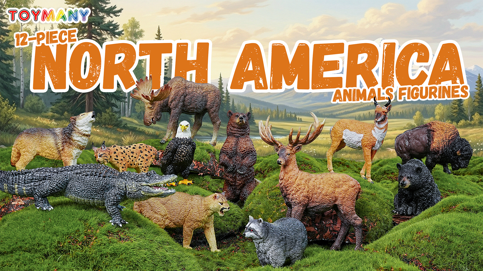 TOYMANY Set De 12 Figurines Animaux Forêt Nord-américaine – élan, Ours, Lynx, Aigle, Plastique PVC Réaliste, Jouet éducatif