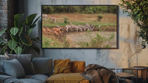 Ambiance safari africain - Paix des prairies sauvages de la savane – vue 7
