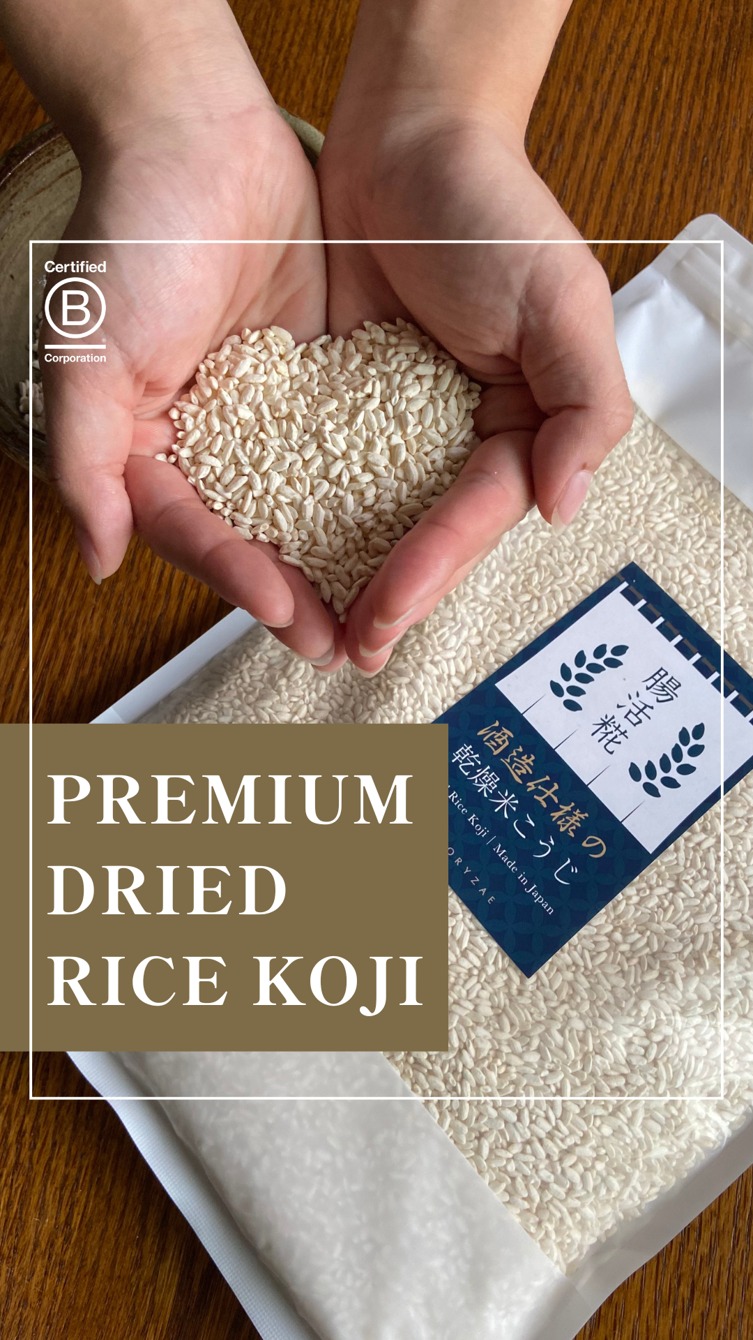 kojids　RICE28 DIVERSE 81gDi9KlR+L._UF350,350_QL50_.jpg