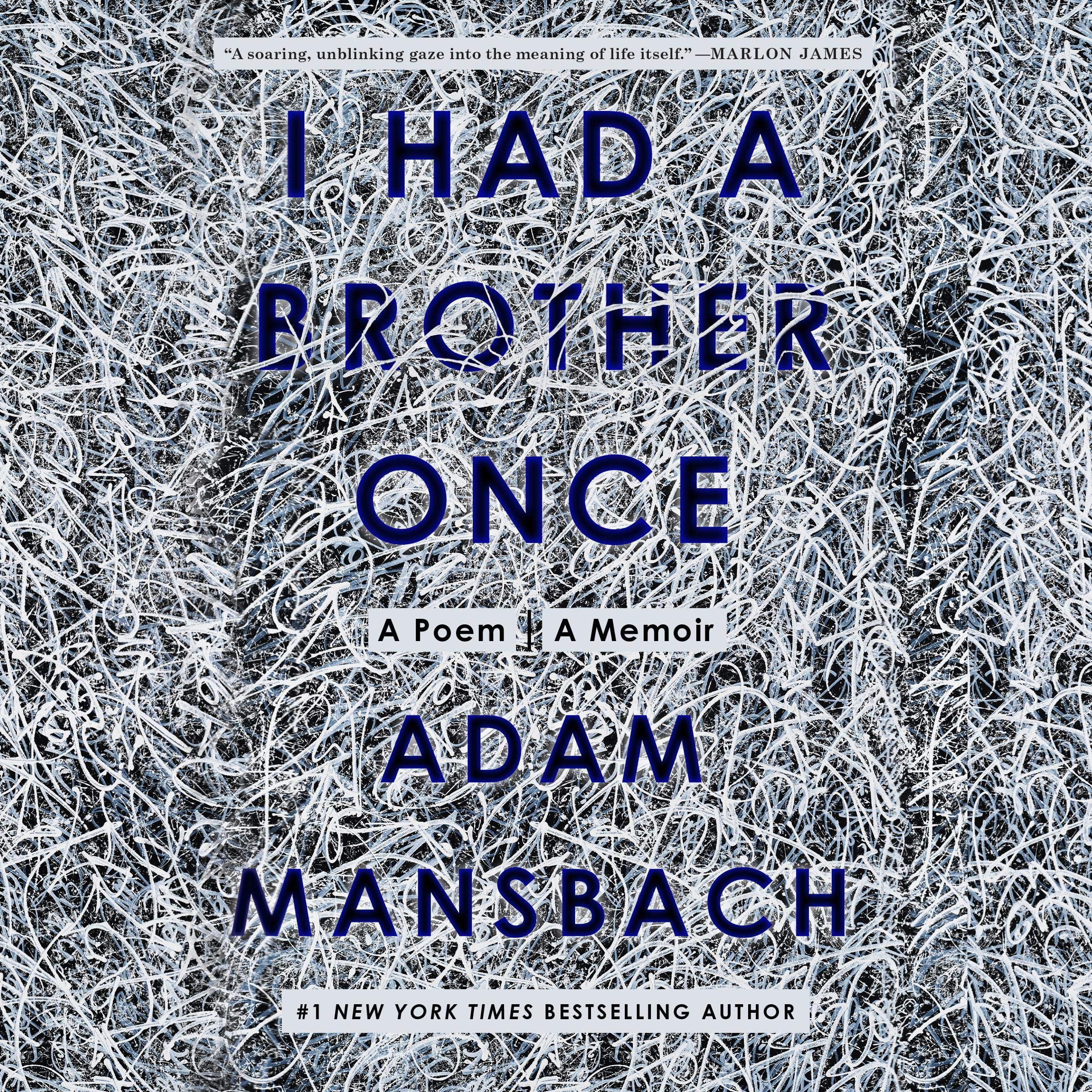 Cover art for I Had a Brother Once