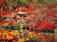 Vista 2 de Clementoni - 35035 - Colección - Orient Dream - 500 Piezas, Multicolor