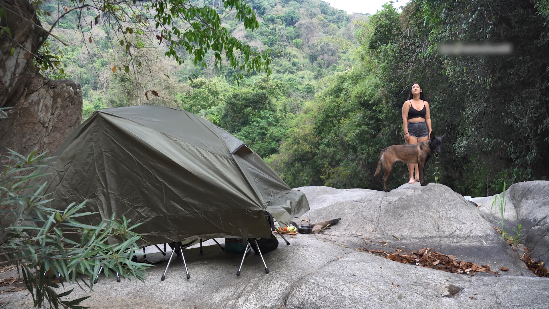 Watch Relax and Camp by the Waterfall Stream with Cot Tent on Amazon Live