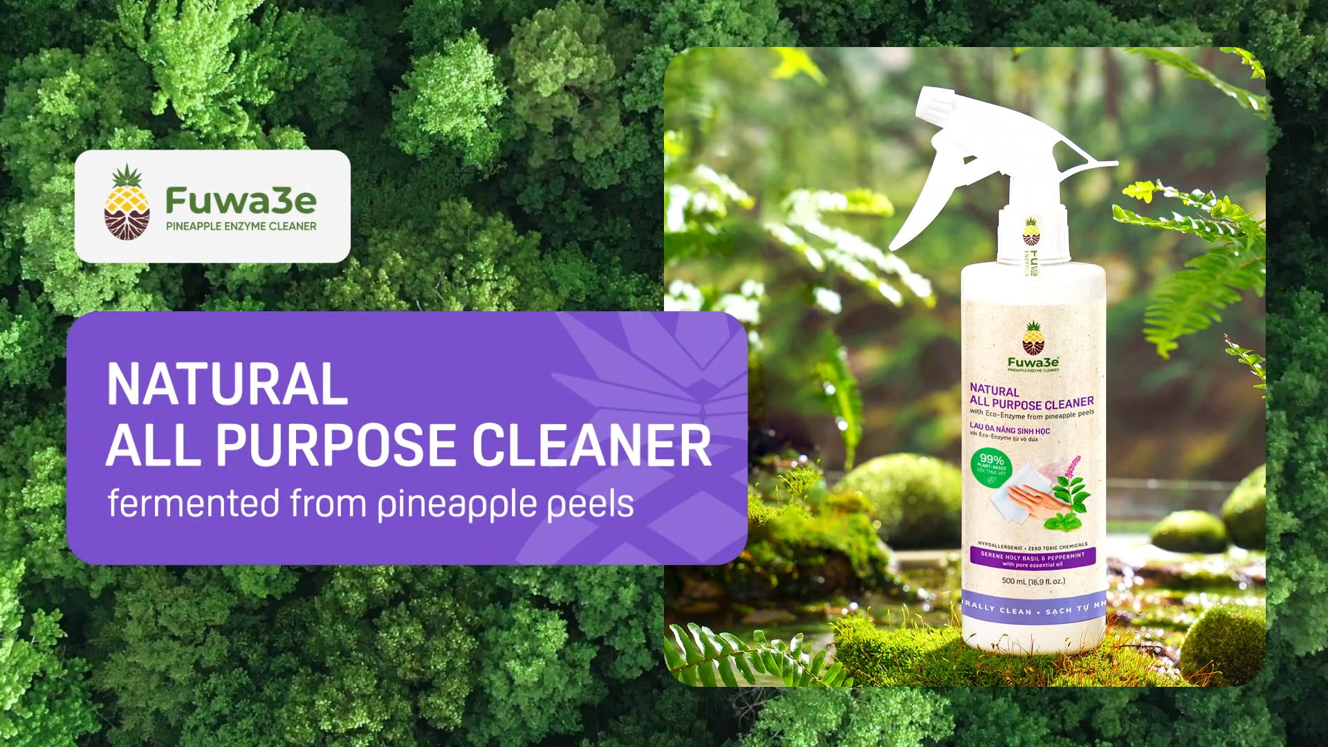 熟酵 The Cleansing Special Pack 8 Amazon.com: Fuwa3e Pineapple Enzyme Natural All Purpose