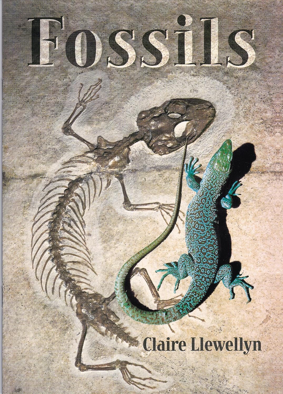 Buy Literacy Student Reader Grade 3 Fossils Book Online at Low Prices