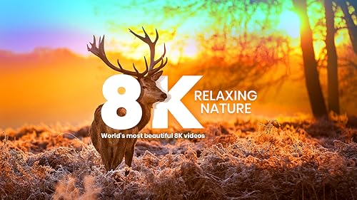 8K Landscapes
