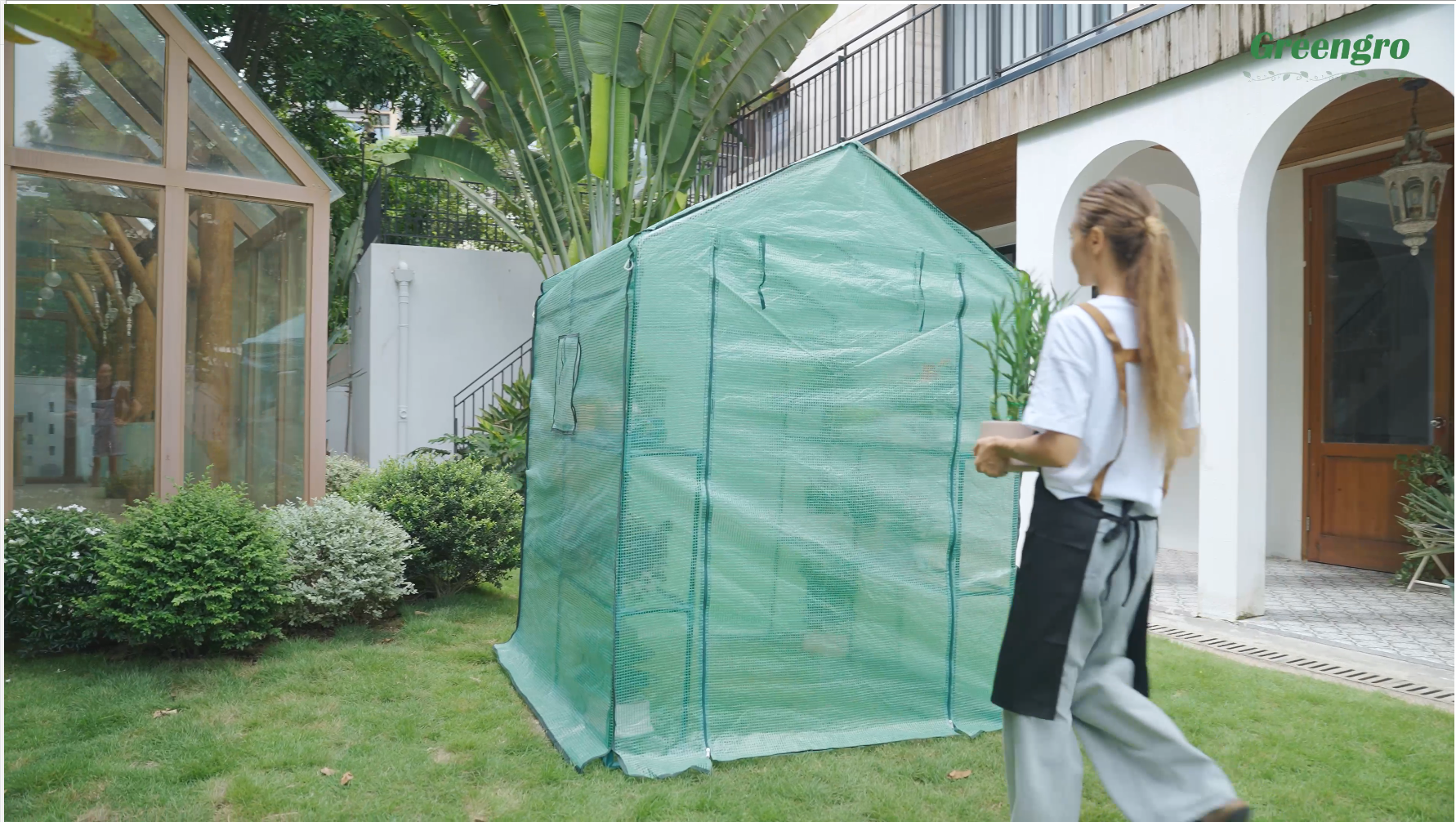 Amazon.com : Greengro Greenhouse, 57 x 57 x 76'' Greenhouses for