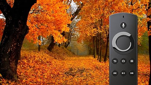 Cozy Early Morning Autumn Sounds | Crunchy Leaves & Peaceful Fall Music