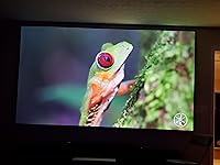 Review Image by William W. William W.