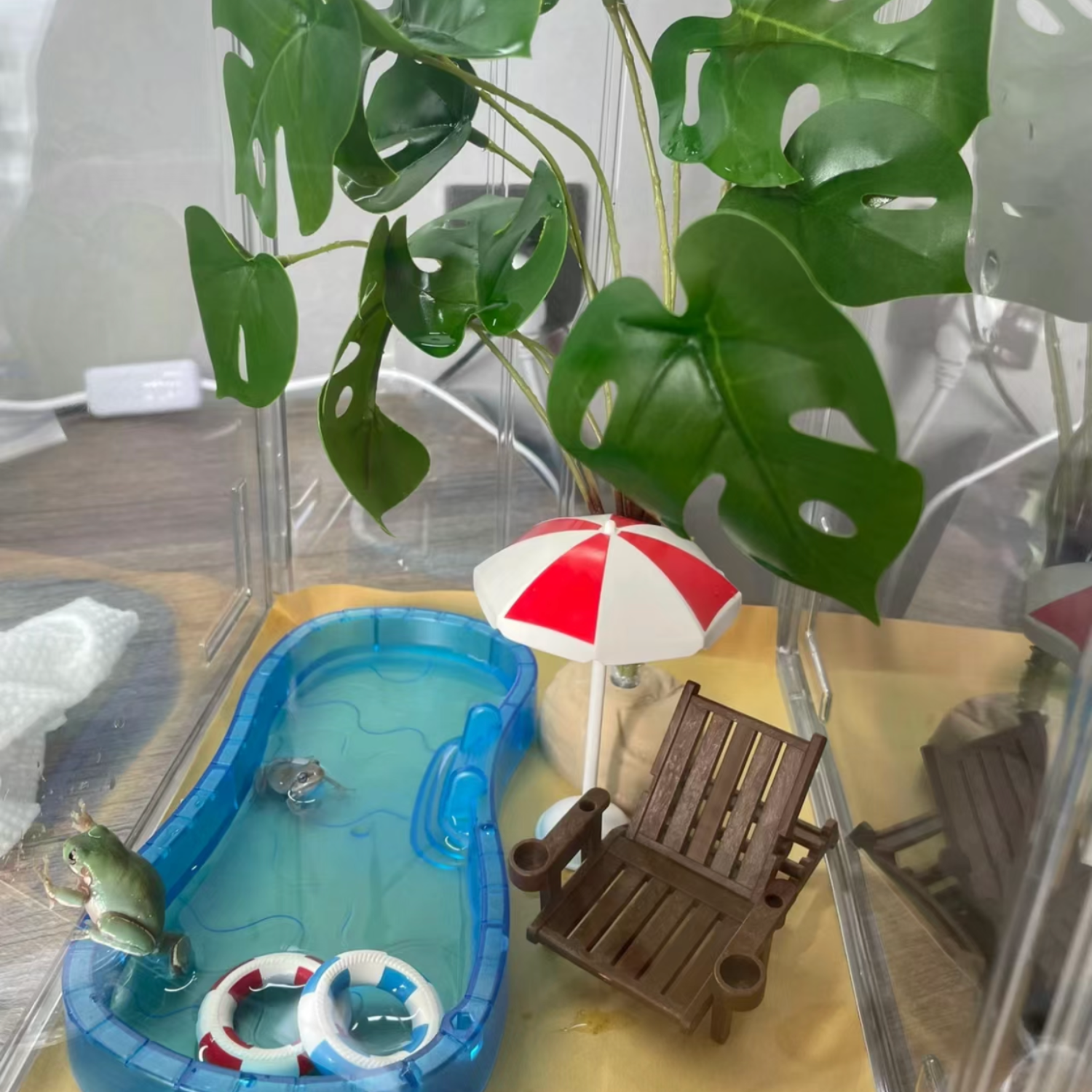 Amazon.com : Tree Frog Tank Accessories - Novelty Pool Theme Set