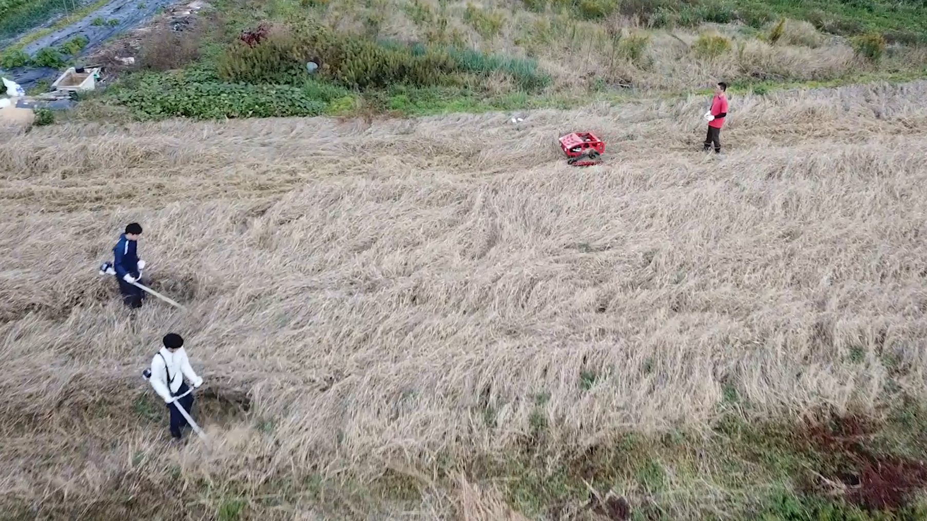 Amazon.co.jp: 【PB STAY】ラジコン草刈機 2種類のエンジンから選べる