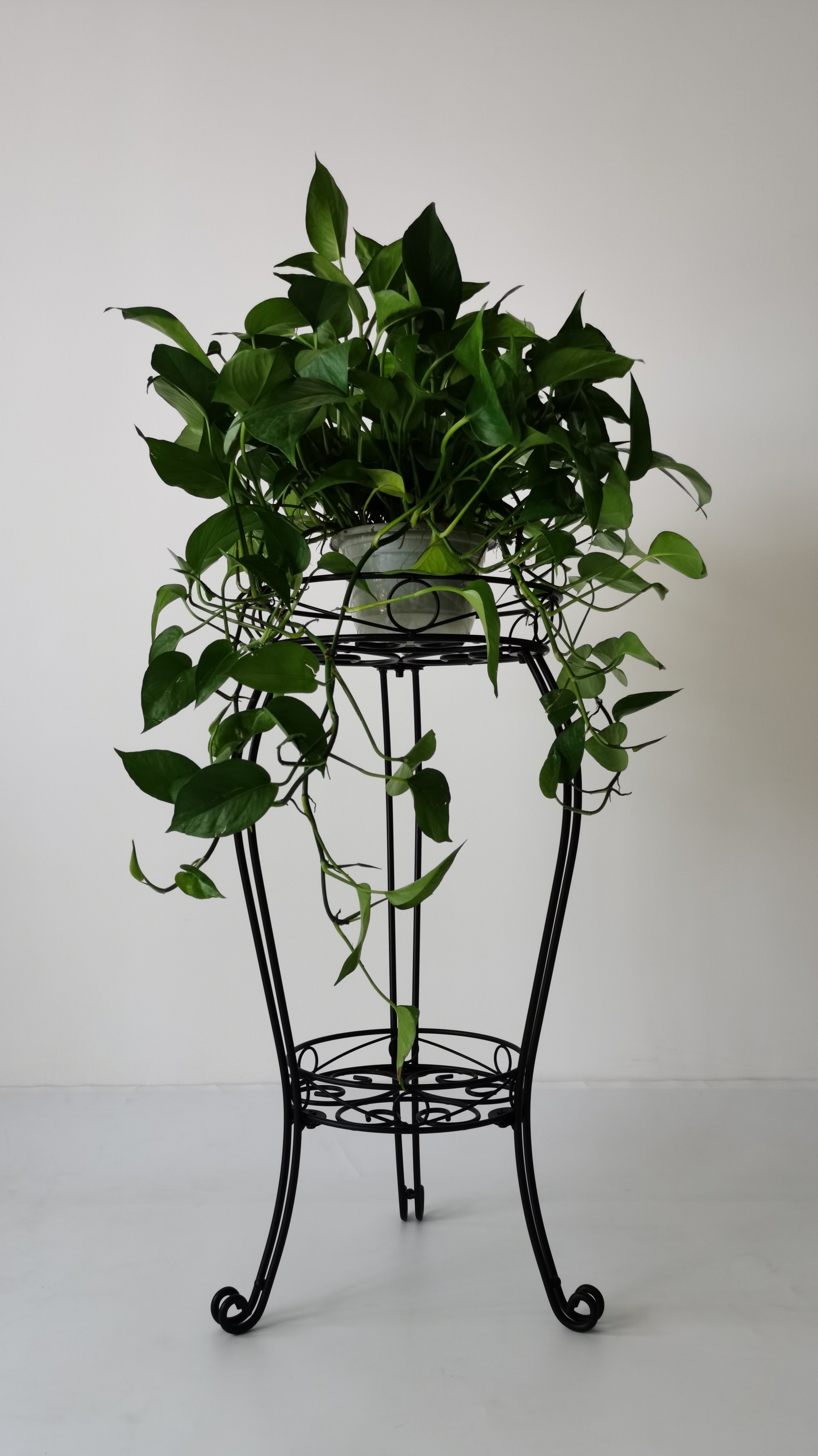 Amazon.com : 28.4 inches Tall Metal Plant Stand 11.8 Dia for