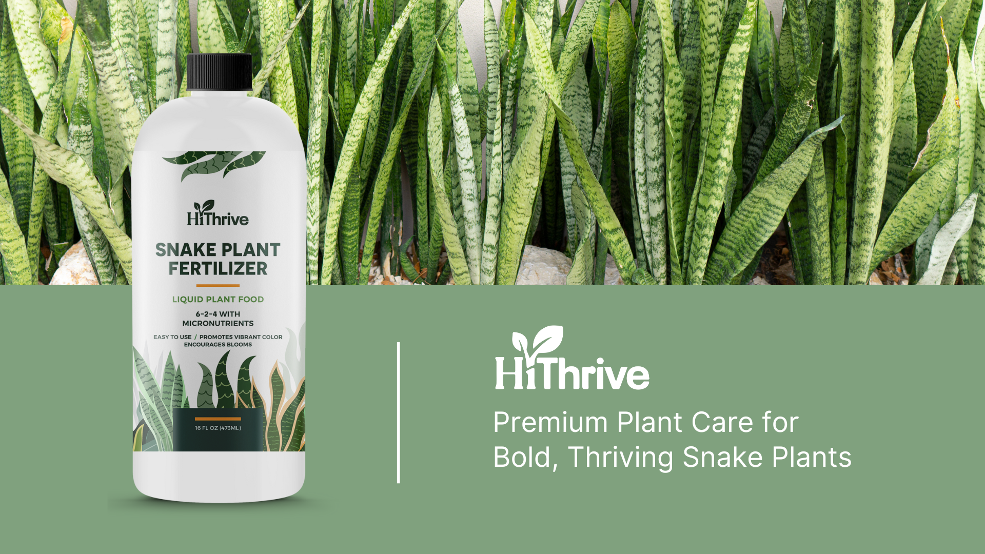 zimmerpflanze düngen Zimmerpflanzen Dünger, Monstera Dünger, 6 Monate Depotwirkung – PlantMe main image 1