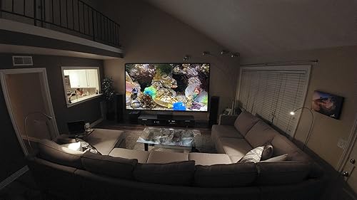 free clown fish aquarium HD - decore seu quarto com um lindo aquário em sua TV HDR 4K, TV 8K e dispo