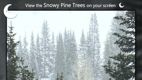 Snowy Pine Trees