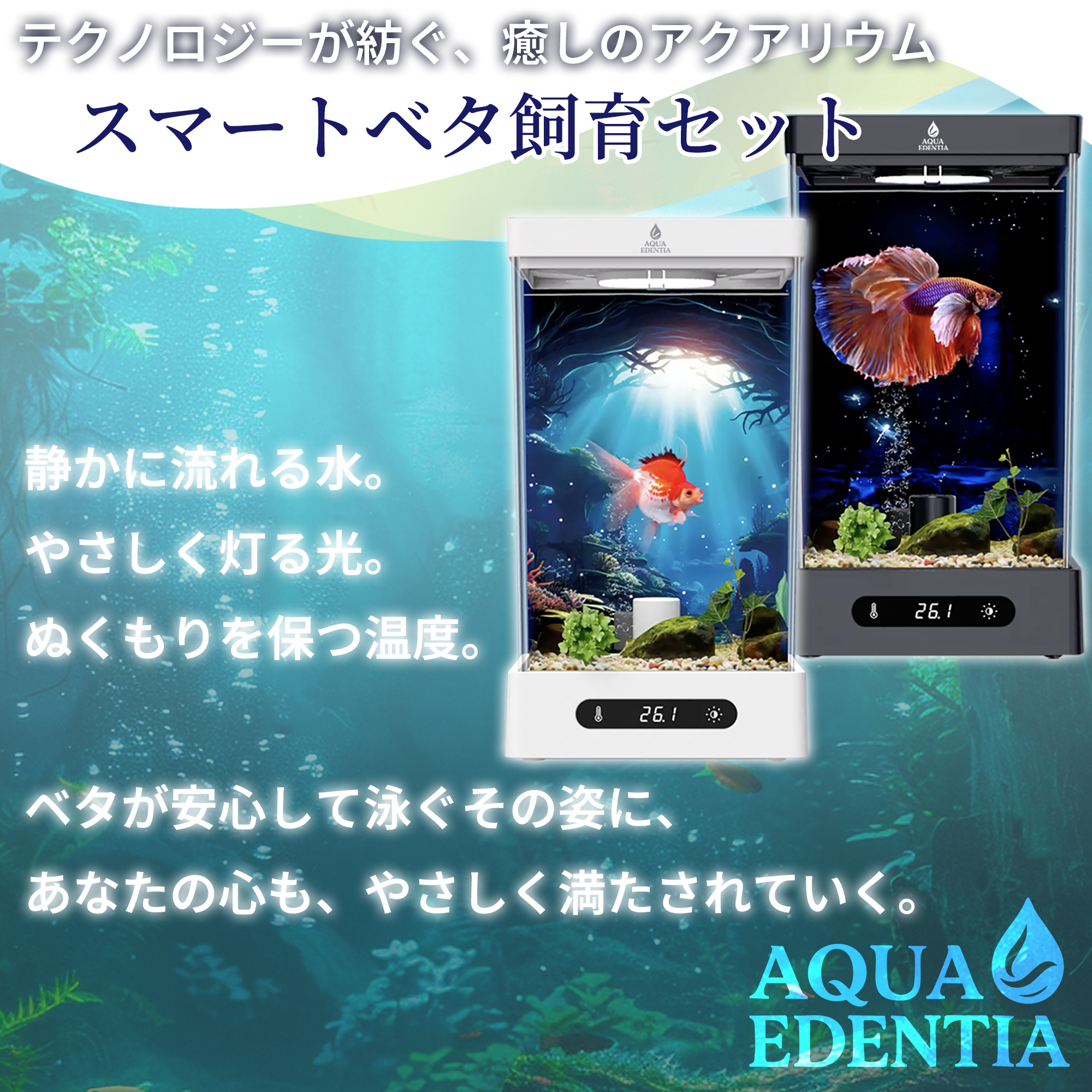 Amazon | ベタ飼育セット スマート水槽 小型1.6L水槽 温度設定20-30