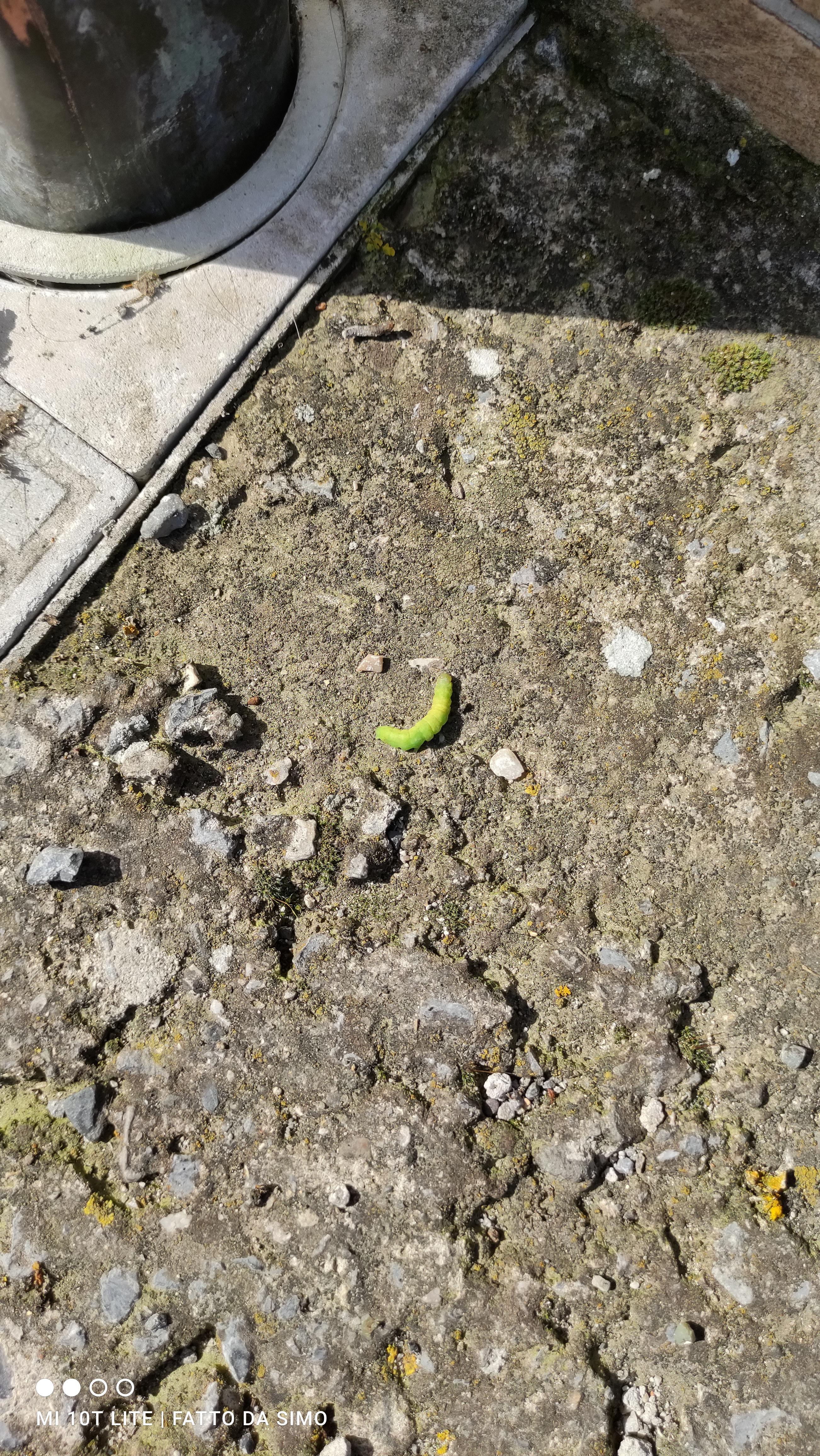 Immagine del cliente