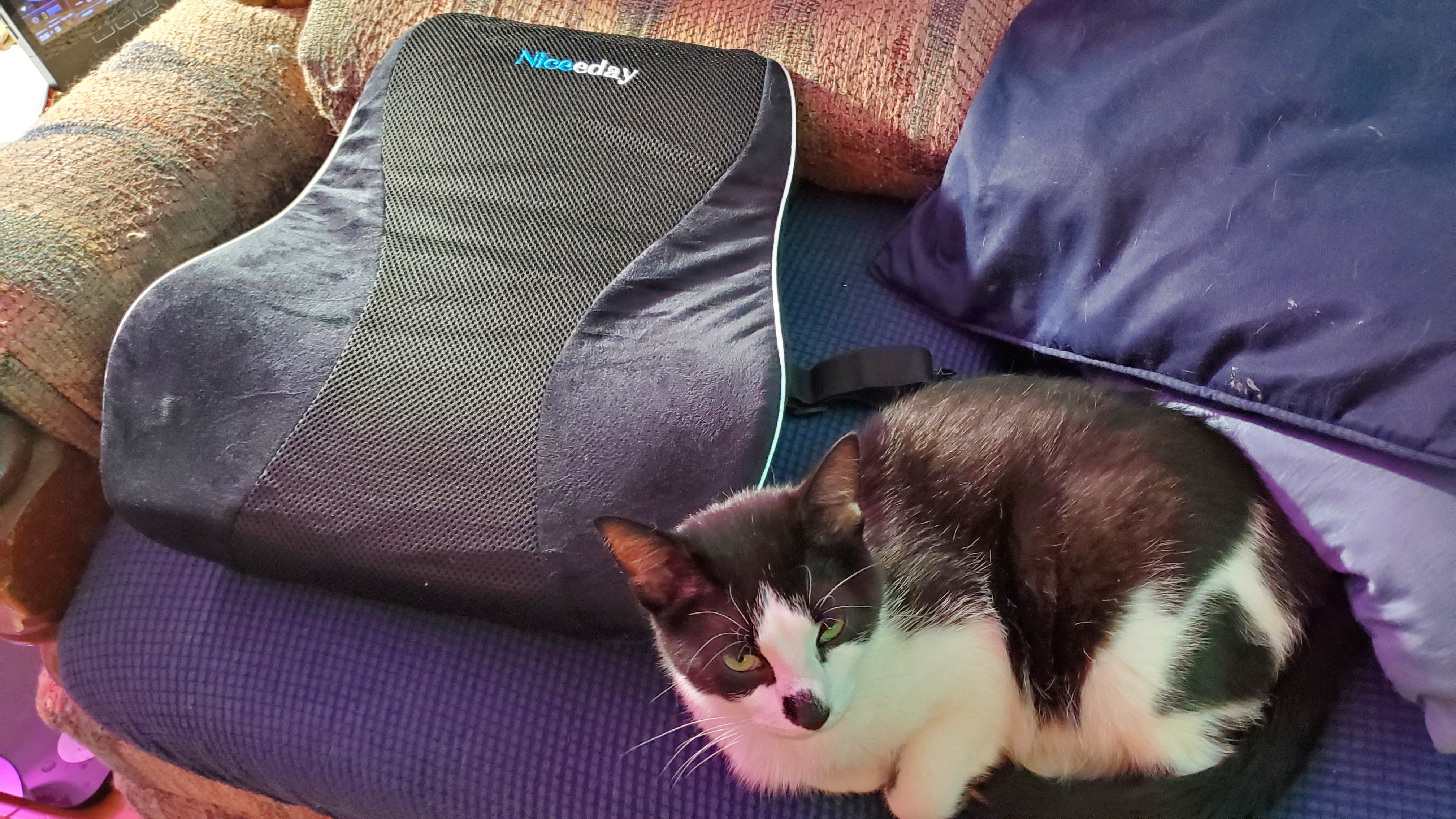 Watch Review - Niceeday office lumbar support, measurements & demo
