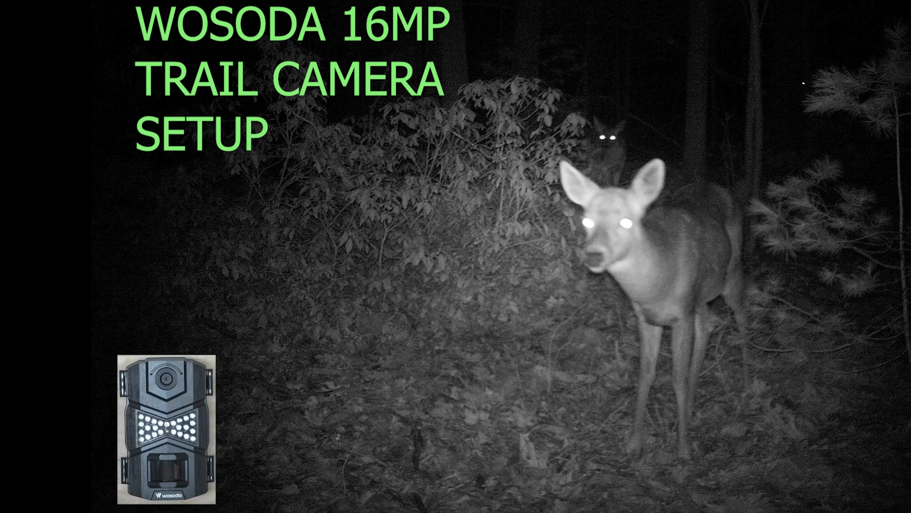 Wosoda 16mp Trail Camera Setup Guide