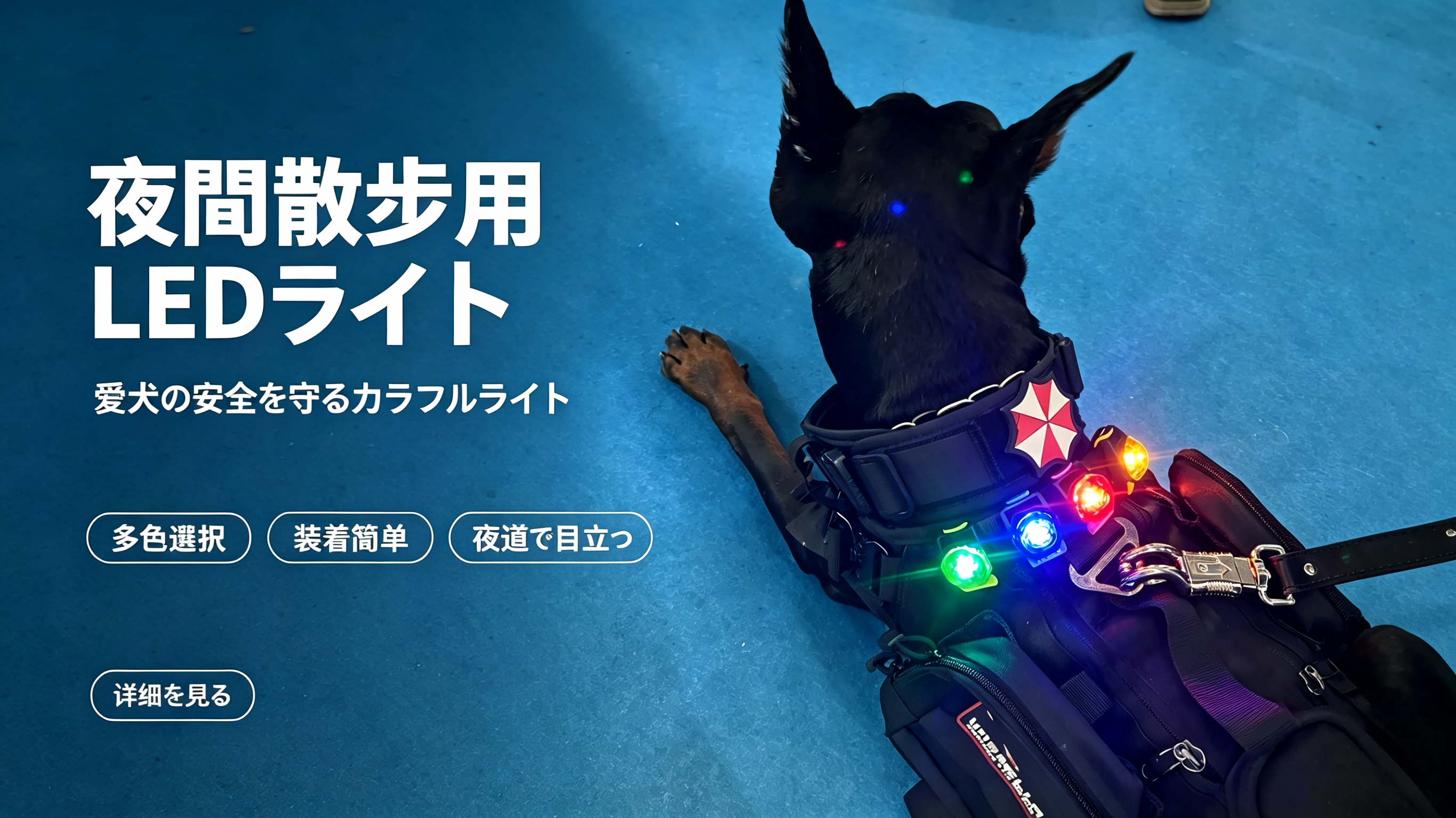 Amazon | LaRoo お散歩ライト 高輝度 Type-C充電式 ペット用セーフティ