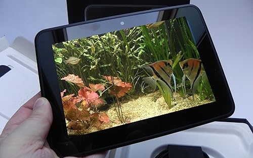 free couple fish aquarium HD - aproveite o romance de peixes em sua TV HDR 4K, TV 8K e dispositivos