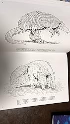 Wild Animals Coloring Book (Dover Animal Coloring Books): John Green ...