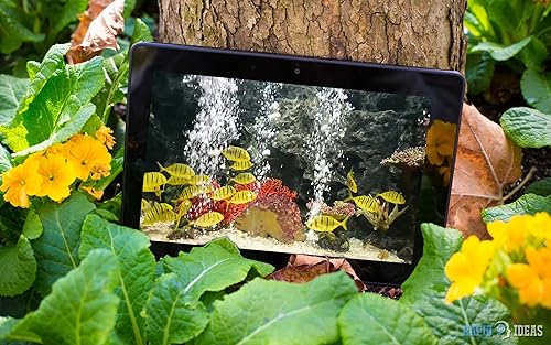 aquário pacífico gratuito HD - decore seu quarto com um belo aquário de vida marinha na sua TV HDR 4