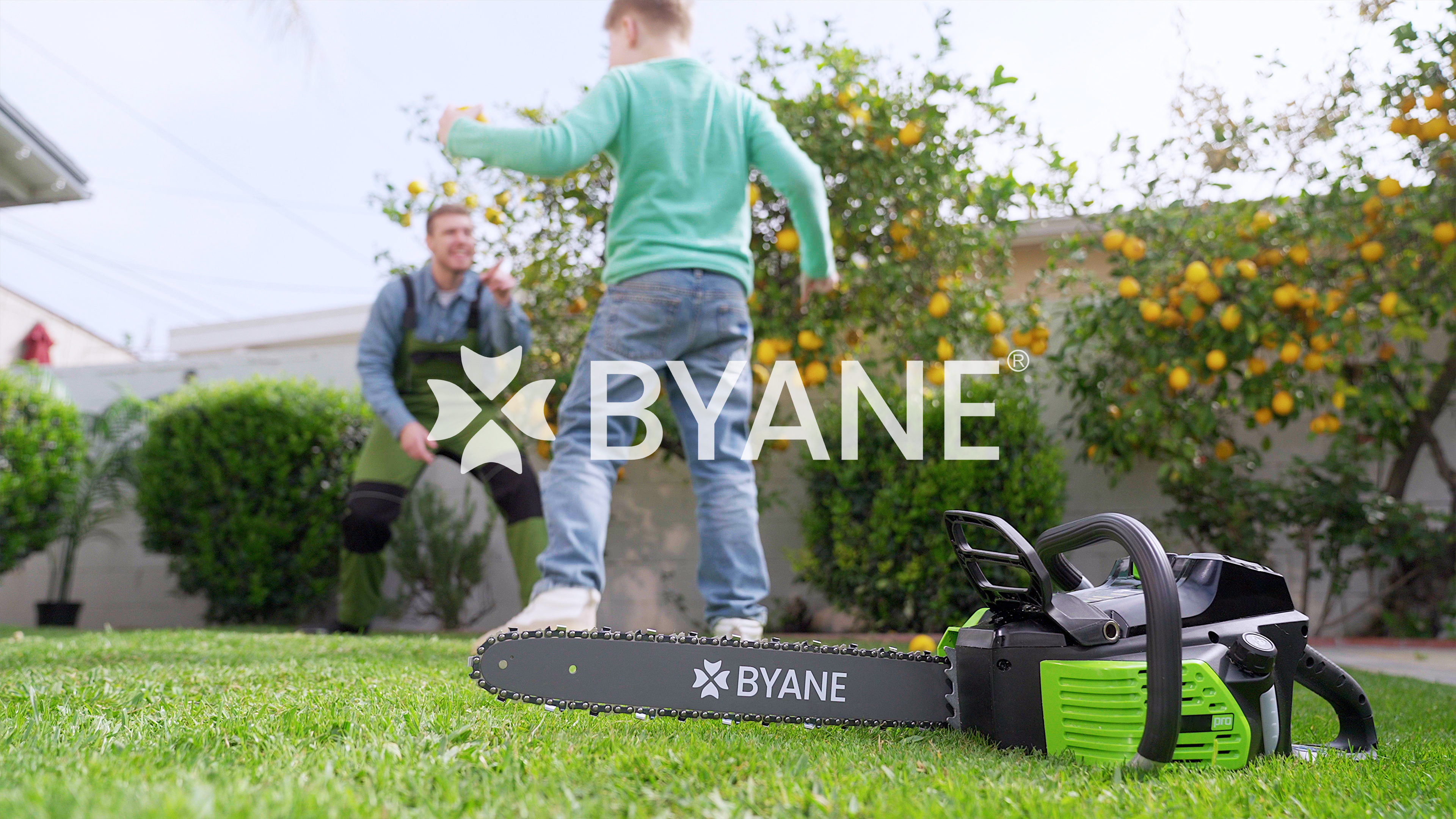 Amazon.com: BYANE 16 Inch Chainsaw Chain 3/8