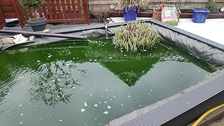 OASE 56885 UVC Vorklärgerät Vitronic 36 W für Teiche bis 40 m³