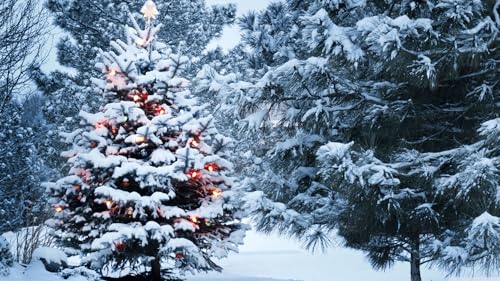 Christmas Screensaver 4K No ADS