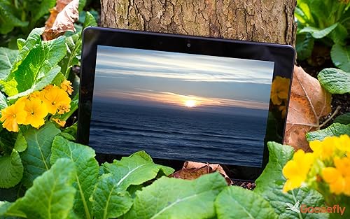 calma sunset beach HD grátis - ambiente pacífico para superar o estresse e a ansiedade assistindo na