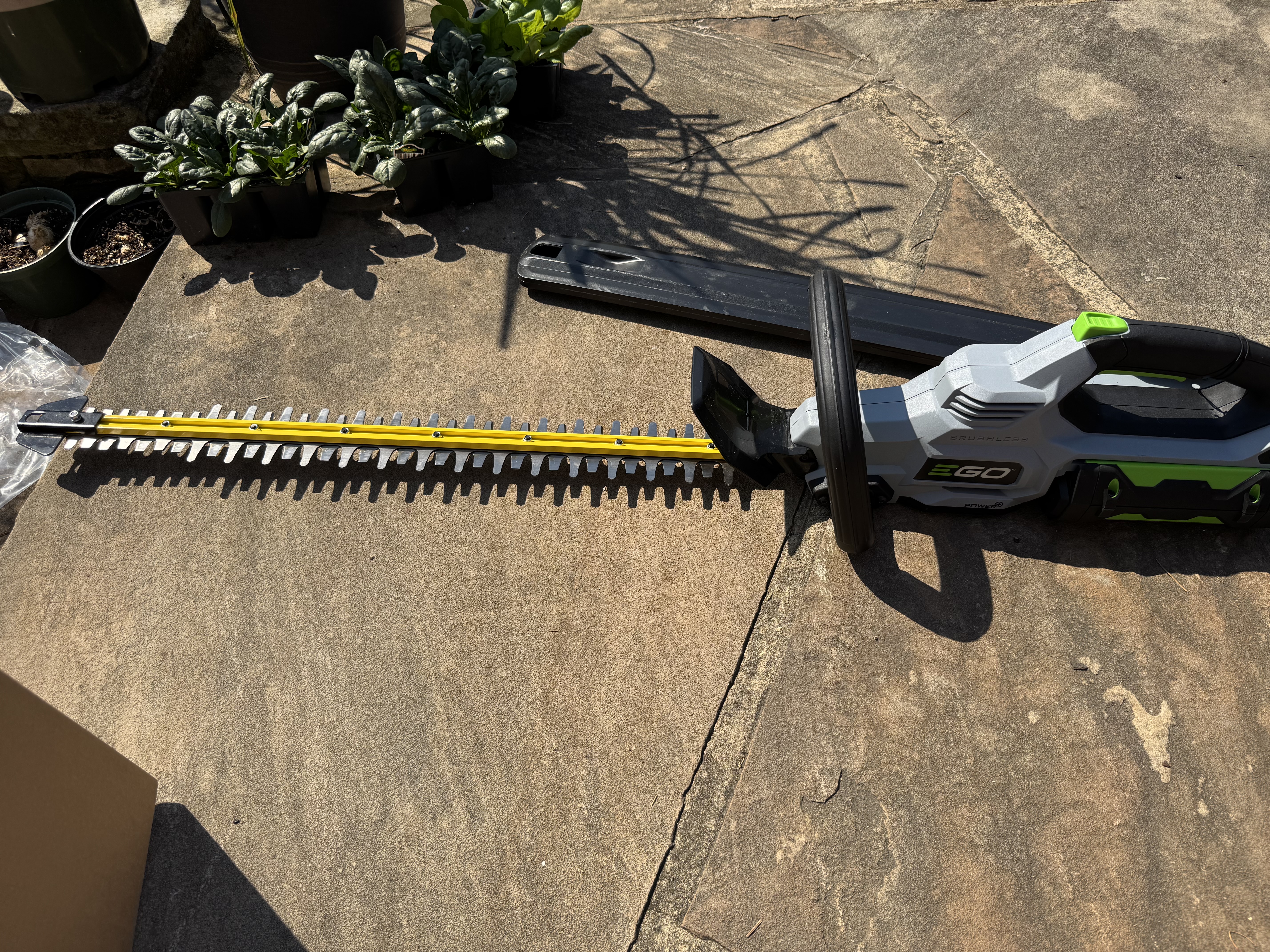 Watch Unboxing EGO Cordless Hedge Trimmer on Amazon Live